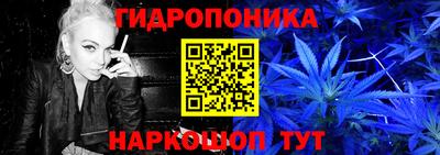 дживик Обь