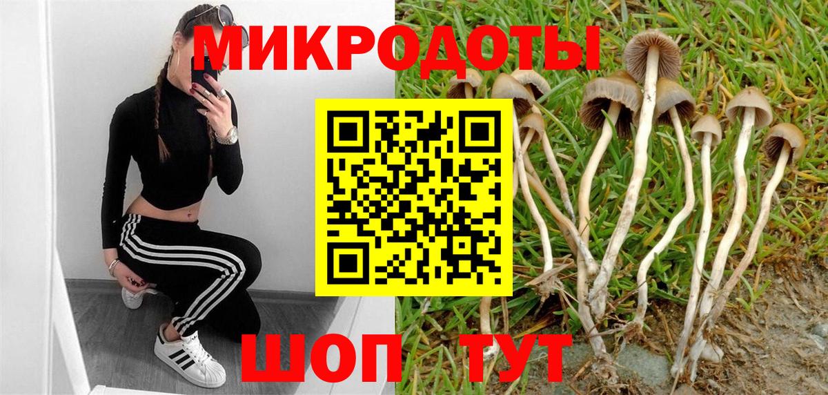 Галлюциногенные грибы MAGIC MUSHROOMS  Вход с VPN  цена наркотик  Саянск  Галлюциногенные грибы Psilocybine cubensis 